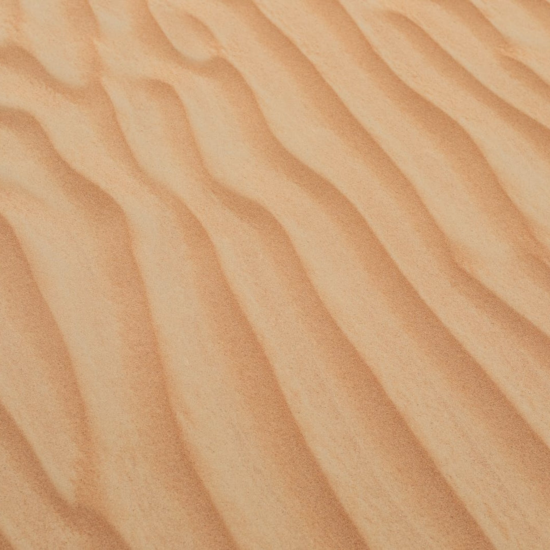 Sand dunes with rippled texture, tan and beige hues.