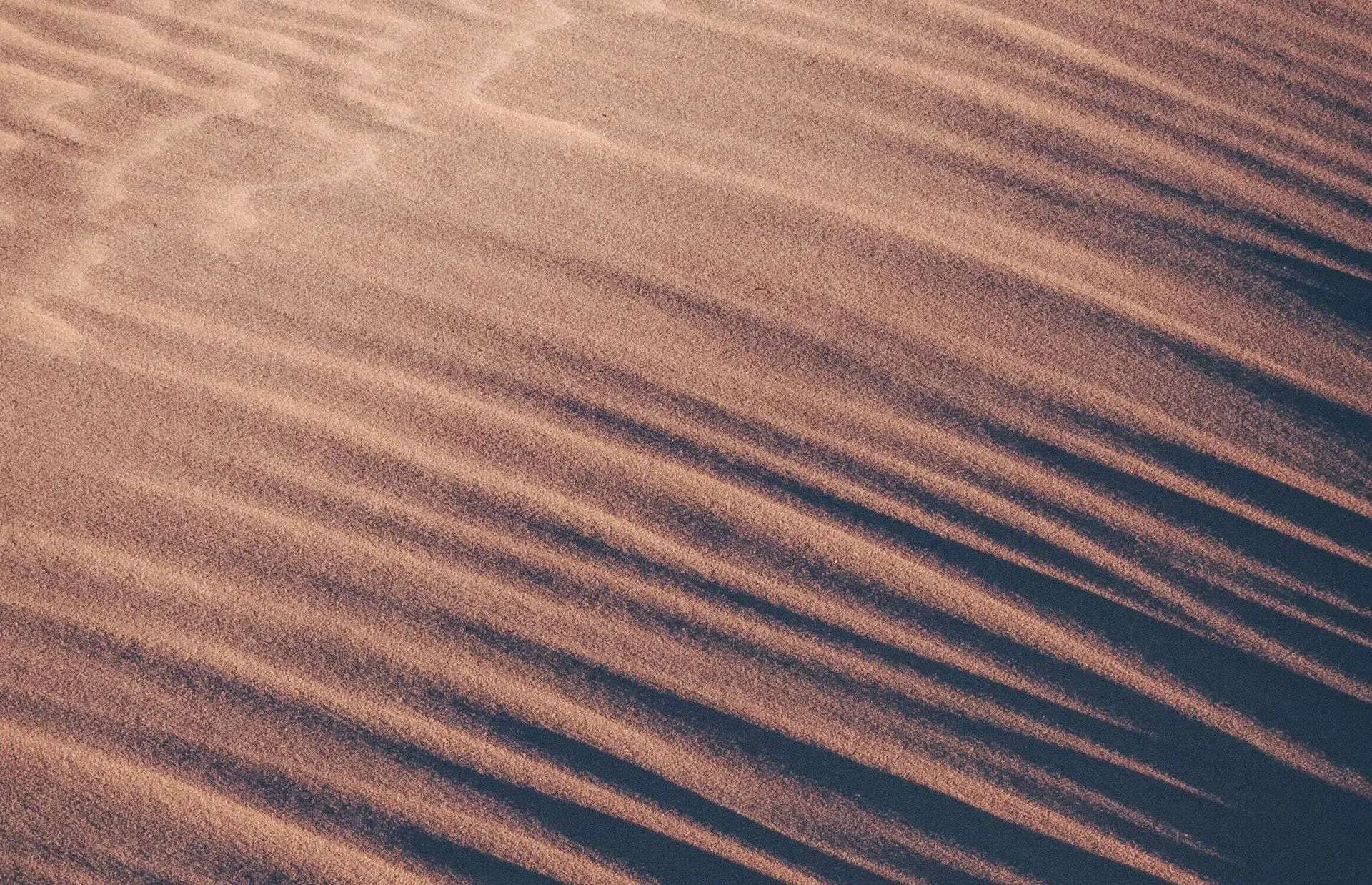 Sand dunes with sweeping curved shadows in shades of brown.